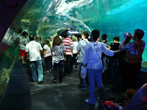 Istanbul Aquarium and 5D Helicopter Tour